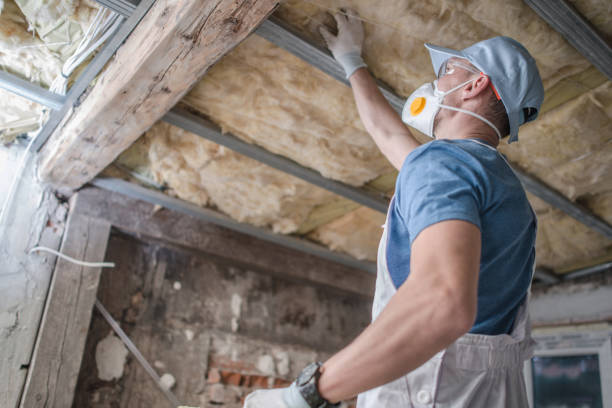 Best Spray Foam Insulation in Elkton, KY