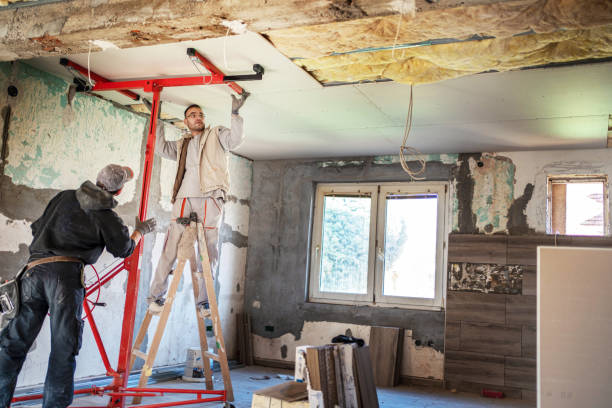 Best Spray Foam Insulation in Elkton, KY