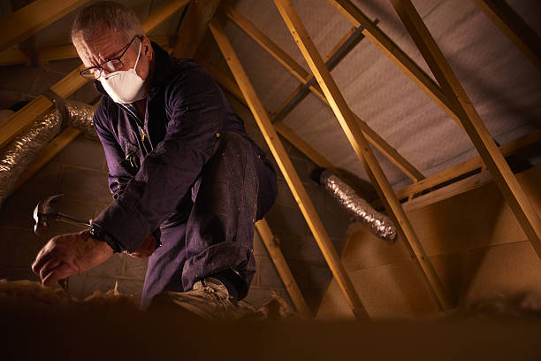 Best Cellulose Insulation in Elkton, KY